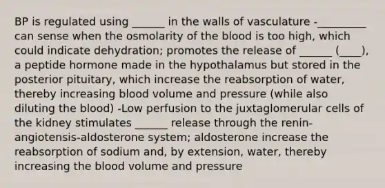 BP is regulated using ______ in the walls of vasculature -_________ can sense when the osmolarity of the blood is too high, which could indicate dehydration; promotes the release of ______ (____), a peptide hormone made in the hypothalamus but stored in the posterior pituitary, which increase the reabsorption of water, thereby increasing blood volume and pressure (while also diluting the blood) -Low perfusion to the juxtaglomerular cells of the kidney stimulates ______ release through the renin-angiotensis-aldosterone system; aldosterone increase the reabsorption of sodium and, by extension, water, thereby increasing the blood volume and pressure