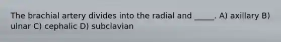 The brachial artery divides into the radial and _____. A) axillary B) ulnar C) cephalic D) subclavian