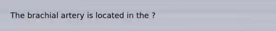 The brachial artery is located in the ?