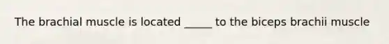 The brachial muscle is located _____ to the biceps brachii muscle