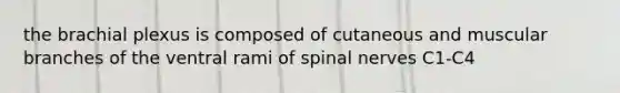 the brachial plexus is composed of cutaneous and muscular branches of the ventral rami of spinal nerves C1-C4