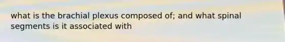 what is the brachial plexus composed of; and what spinal segments is it associated with