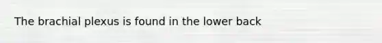 The brachial plexus is found in the lower back