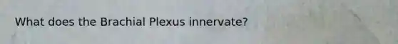 What does the Brachial Plexus innervate?