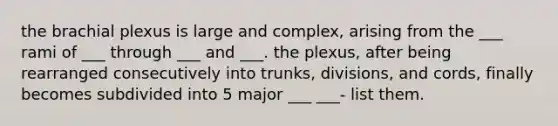 the brachial plexus is large and complex, arising from the ___ rami of ___ through ___ and ___. the plexus, after being rearranged consecutively into trunks, divisions, and cords, finally becomes subdivided into 5 major ___ ___- list them.