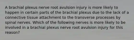 A brachial plexus nerve root avulsion injury is more likely to happen in certain parts of the brachial plexus due to the lack of a connective tissue attachment to the transverse processes by spinal nerves. Which of the following nerves is more likely to be involved in a brachial plexus nerve root avulsion injury for this reason?