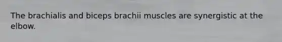 The brachialis and biceps brachii muscles are synergistic at the elbow.