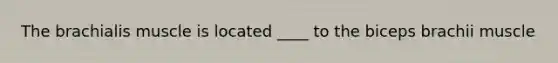 The brachialis muscle is located ____ to the biceps brachii muscle