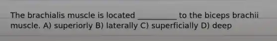 The brachialis muscle is located __________ to the biceps brachii muscle. A) superiorly B) laterally C) superficially D) deep