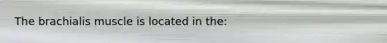 The brachialis muscle is located in the: