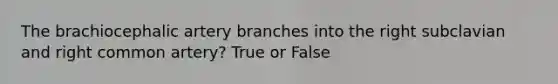 The brachiocephalic artery branches into the right subclavian and right common artery? True or False