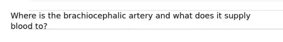 Where is the brachiocephalic artery and what does it supply blood to?