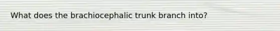 What does the brachiocephalic trunk branch into?