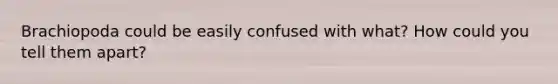 Brachiopoda could be easily confused with what? How could you tell them apart?