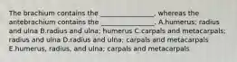 The brachium contains the ________________, whereas the antebrachium contains the ________________. A.humerus; radius and ulna B.radius and ulna; humerus C.carpals and metacarpals; radius and ulna D.radius and ulna; carpals and metacarpals E.humerus, radius, and ulna; carpals and metacarpals