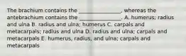 The brachium contains the ________________, whereas the antebrachium contains the ________________. A. humerus; radius and ulna B. radius and ulna; humerus C. carpals and metacarpals; radius and ulna D. radius and ulna; carpals and metacarpals E. humerus, radius, and ulna; carpals and metacarpals