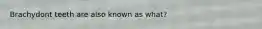 Brachydont teeth are also known as what?