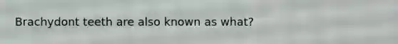 Brachydont teeth are also known as what?