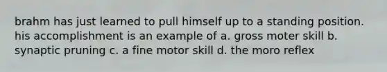 brahm has just learned to pull himself up to a standing position. his accomplishment is an example of a. gross moter skill b. synaptic pruning c. a fine motor skill d. the moro reflex