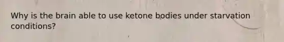 Why is the brain able to use ketone bodies under starvation conditions?