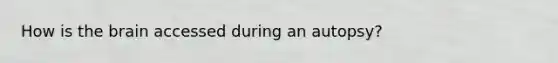 How is <a href='https://www.questionai.com/knowledge/kLMtJeqKp6-the-brain' class='anchor-knowledge'>the brain</a> accessed during an autopsy?