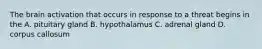 The brain activation that occurs in response to a threat begins in the A. pituitary gland B. hypothalamus C. adrenal gland D. corpus callosum