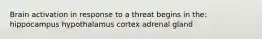 Brain activation in response to a threat begins in the: hippocampus hypothalamus cortex adrenal gland