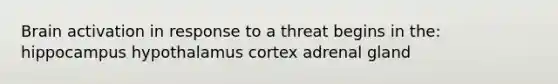 Brain activation in response to a threat begins in the: hippocampus hypothalamus cortex adrenal gland