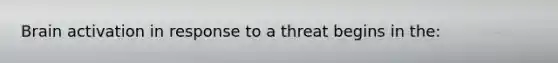 Brain activation in response to a threat begins in the: