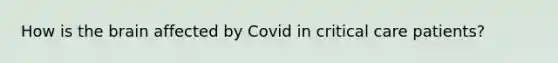 How is the brain affected by Covid in critical care patients?