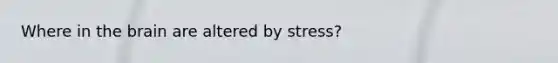 Where in the brain are altered by stress?