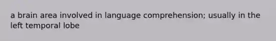 a brain area involved in language comprehension; usually in the left temporal lobe