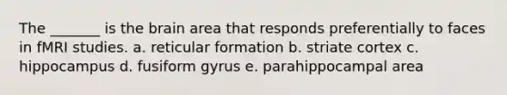 The _______ is the brain area that responds preferentially to faces in fMRI studies. a. reticular formation b. striate cortex c. hippocampus d. fusiform gyrus e. parahippocampal area