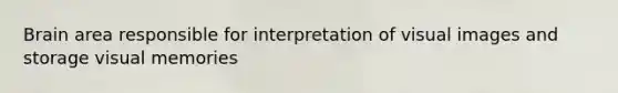Brain area responsible for interpretation of visual images and storage visual memories