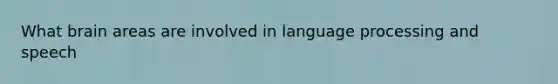 What brain areas are involved in language processing and speech