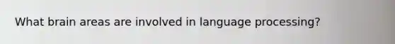 What brain areas are involved in language processing?