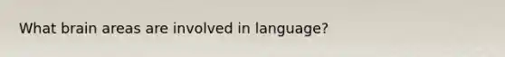 What brain areas are involved in language?