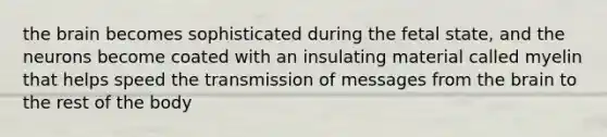 the brain becomes sophisticated during the fetal state, and the neurons become coated with an insulating material called myelin that helps speed the transmission of messages from the brain to the rest of the body