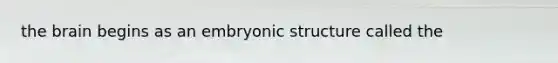 the brain begins as an embryonic structure called the