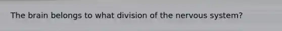 <a href='https://www.questionai.com/knowledge/kLMtJeqKp6-the-brain' class='anchor-knowledge'>the brain</a> belongs to what division of the <a href='https://www.questionai.com/knowledge/kThdVqrsqy-nervous-system' class='anchor-knowledge'>nervous system</a>?