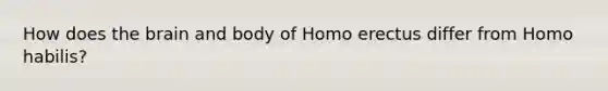 How does the brain and body of Homo erectus differ from Homo habilis?