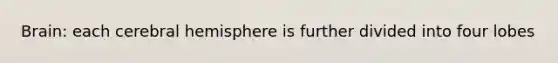 Brain: each cerebral hemisphere is further divided into four lobes