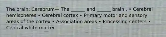 The brain: Cerebrum— The ______ and ______ brain . • Cerebral hemispheres • Cerebral cortex • Primary motor and sensory areas of the cortex • Association areas • Processing centers • Central white matter