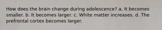 How does the brain change during adolescence? a. It becomes smaller. b. It becomes larger. c. White matter increases. d. The prefrontal cortex becomes larger.