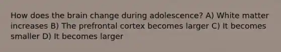 How does <a href='https://www.questionai.com/knowledge/kLMtJeqKp6-the-brain' class='anchor-knowledge'>the brain</a> change during adolescence? A) White matter increases B) The prefrontal cortex becomes larger C) It becomes smaller D) It becomes larger