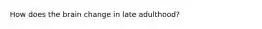 How does the brain change in late adulthood?