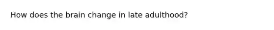 How does the brain change in late adulthood?