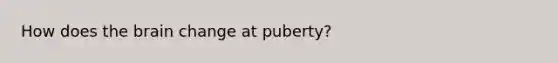 How does the brain change at puberty?