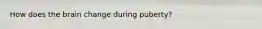 How does the brain change during puberty?