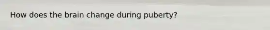 How does the brain change during puberty?